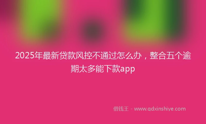 2025年最新贷款风控不通过怎么办，整合五个逾期太多能下款app