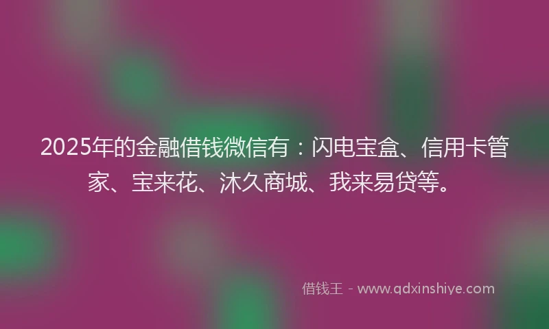 2025年的金融借钱微信有：闪电宝盒、信用卡管家、宝来花、沐久商城、我来易贷等。