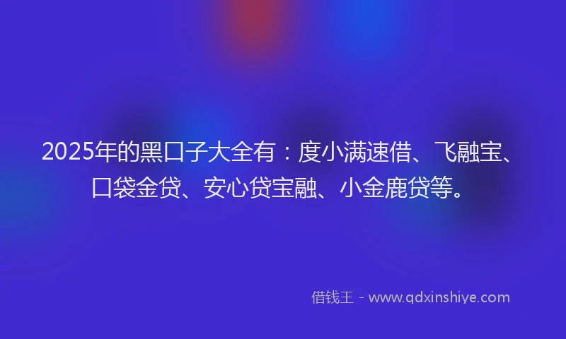 2025年的黑口子大全有：度小满速借、飞融宝、口袋金贷、安心贷宝融、小金鹿贷等。