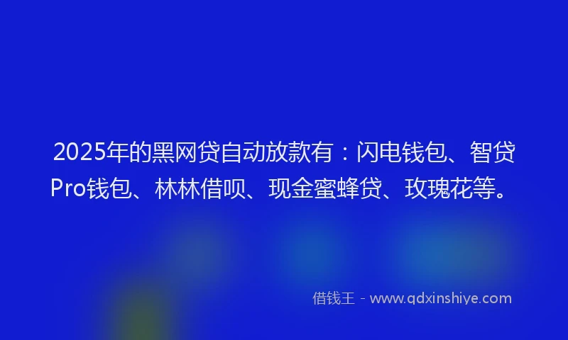2025年的黑网贷自动放款有：闪电钱包、智贷Pro钱包、林林借呗、现金蜜蜂贷、玫瑰花等。