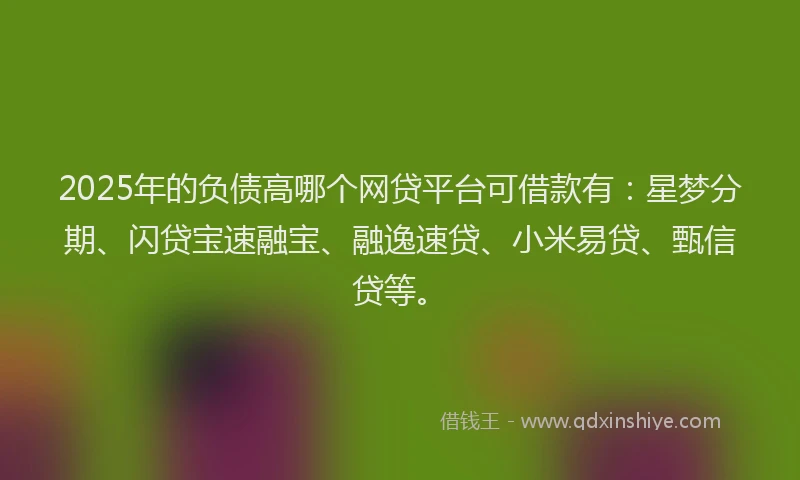 2025年的负债高哪个网贷平台可借款有：星梦分期、闪贷宝速融宝、融逸速贷、小米易贷、甄信贷等。