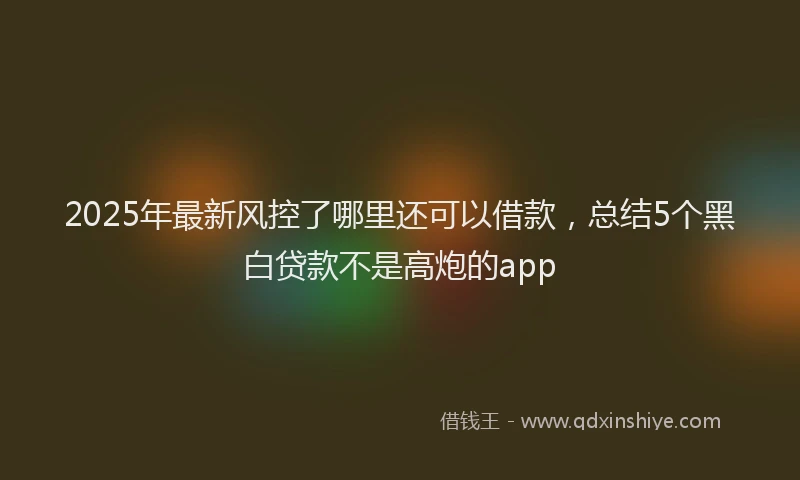 2025年最新风控了哪里还可以借款，总结5个黑白贷款不是高炮的app