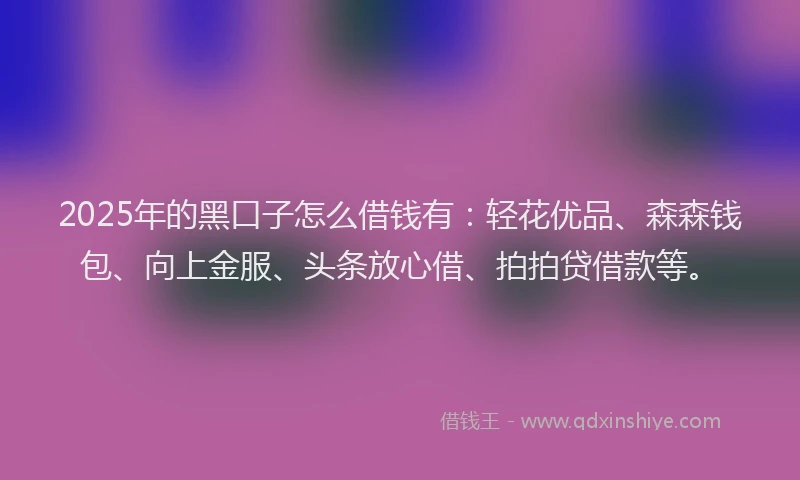 2025年的黑口子怎么借钱有：轻花优品、森森钱包、向上金服、头条放心借、拍拍贷借款等。