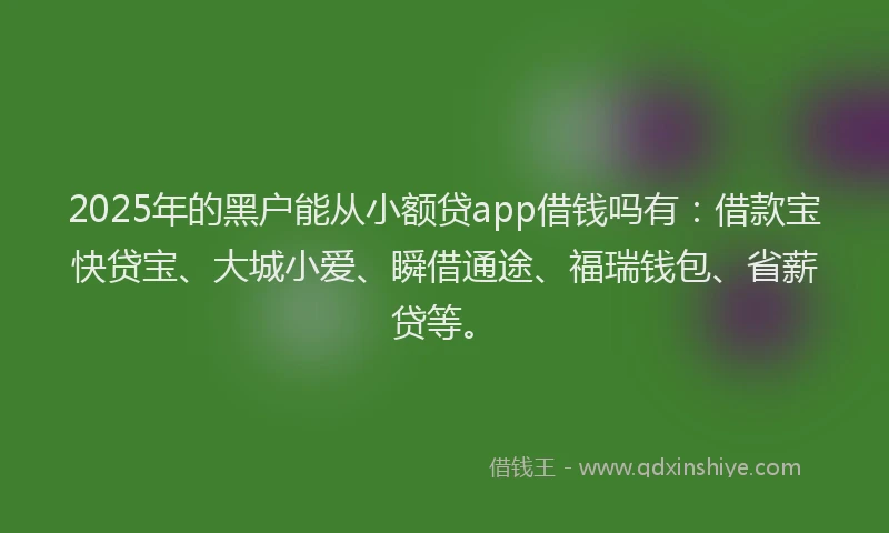2025年的黑户能从小额贷app借钱吗有：借款宝快贷宝、大城小爱、瞬借通途、福瑞钱包、省薪贷等。