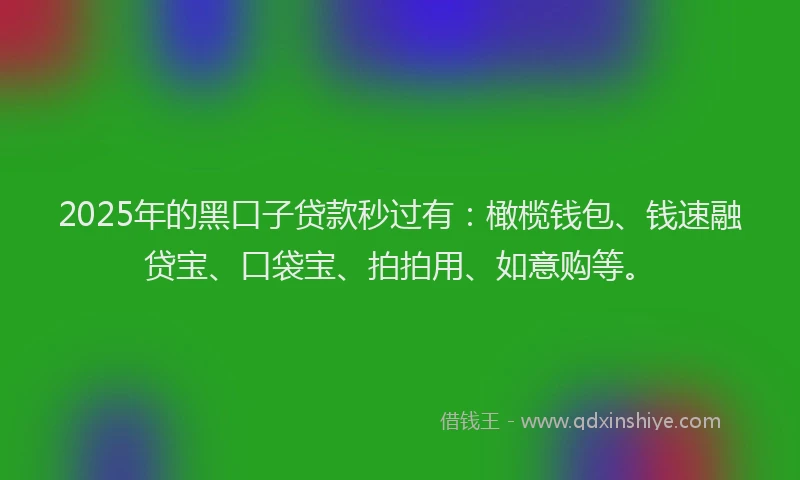 2025年的黑口子贷款秒过有：橄榄钱包、钱速融贷宝、口袋宝、拍拍用、如意购等。