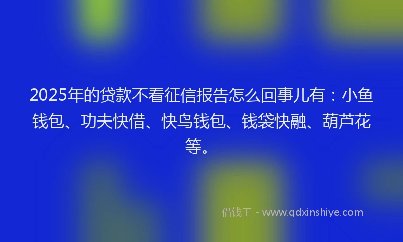 2025年的贷款不看征信报告怎么回事儿有：小鱼钱包、功夫快借、快鸟钱包、钱袋快融、葫芦花等。