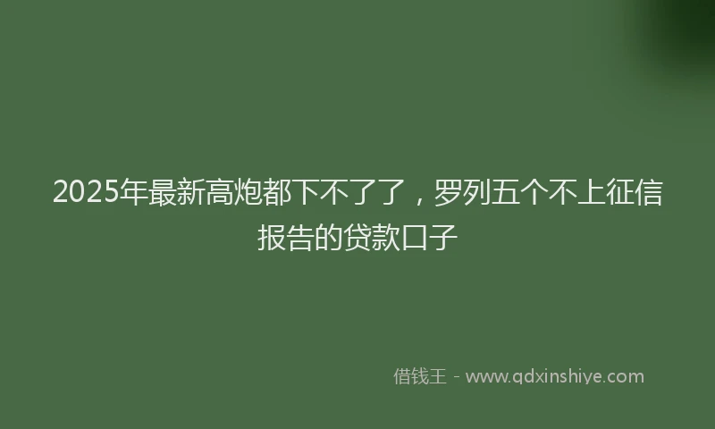 2025年最新高炮都下不了了，罗列五个不上征信报告的贷款口子