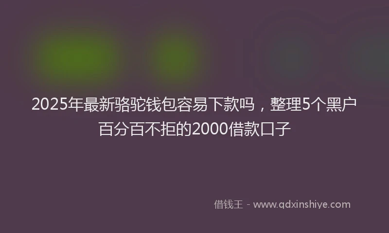 2025年最新骆驼钱包容易下款吗，整理5个黑户百分百不拒的2000借款口子