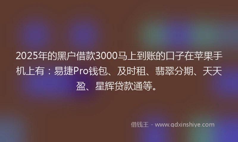 2025年的黑户借款3000马上到账的口子在苹果手机上有：易捷Pro钱包、及时租、翡翠分期、天天盈、星辉贷款通等。