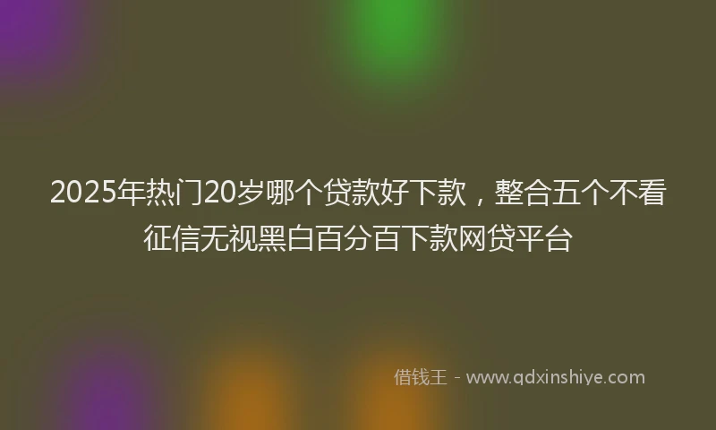 2025年热门20岁哪个贷款好下款，整合五个不看征信无视黑白百分百下款网贷平台
