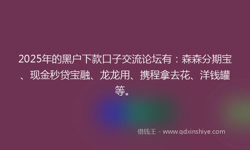2025年的黑户下款口子交流论坛有：森森分期宝、现金秒贷宝融、龙龙用、携程拿去花、洋钱罐等。
