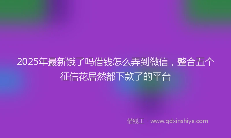 2025年最新饿了吗借钱怎么弄到微信，整合五个征信花居然都下款了的平台