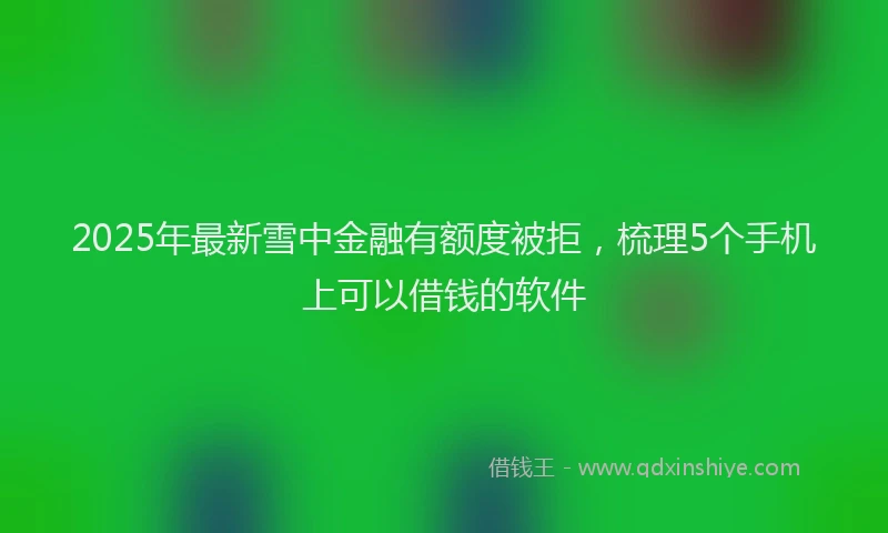 2025年最新雪中金融有额度被拒，梳理5个手机上可以借钱的软件