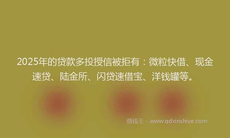 2025年的贷款多投授信被拒有：微粒快借、现金速贷、陆金所、闪贷速借宝、洋钱罐等。