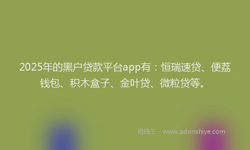 2025年的黑户贷款平台app有：恒瑞速贷、便荔钱包、积木盒子、金叶贷、微粒贷等。