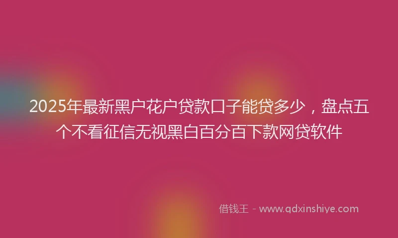 2025年最新黑户花户贷款口子能贷多少，盘点五个不看征信无视黑白百分百下款网贷软件