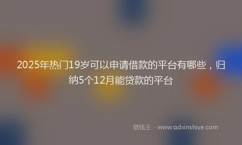 2025年热门19岁可以申请借款的平台有哪些，归纳5个12月能贷款的平台
