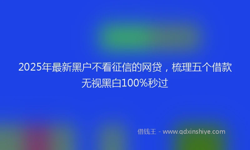 2025年最新黑户不看征信的网贷，梳理五个借款无视黑白100%秒过