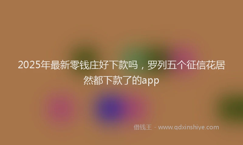 2025年最新零钱庄好下款吗，罗列五个征信花居然都下款了的app
