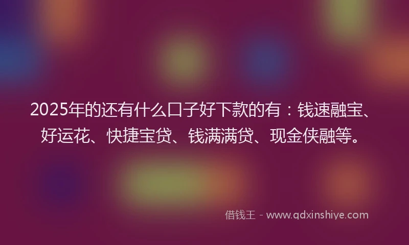 2025年的还有什么口子好下款的有：钱速融宝、好运花、快捷宝贷、钱满满贷、现金侠融等。