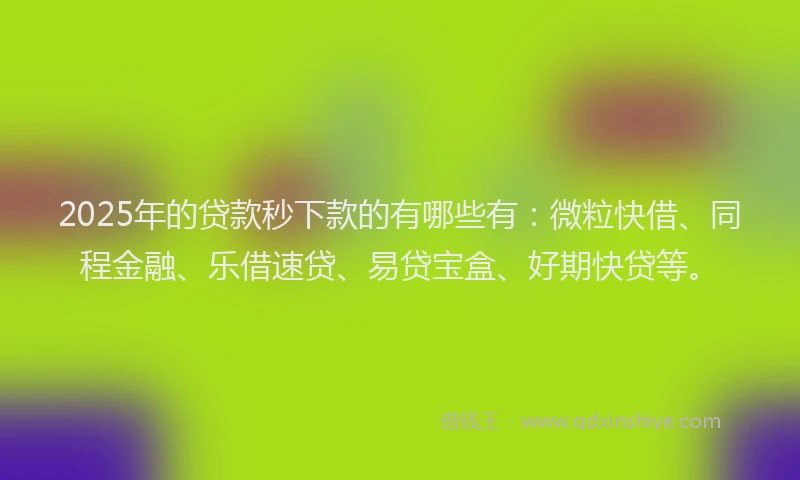 2025年的贷款秒下款的有哪些有：微粒快借、同程金融、乐借速贷、易贷宝盒、好期快贷等。