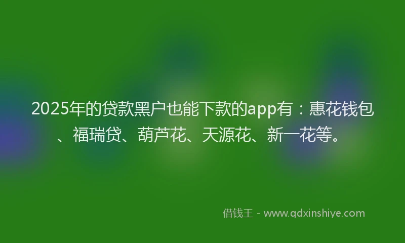 2025年的贷款黑户也能下款的app有：惠花钱包、福瑞贷、葫芦花、天源花、新一花等。