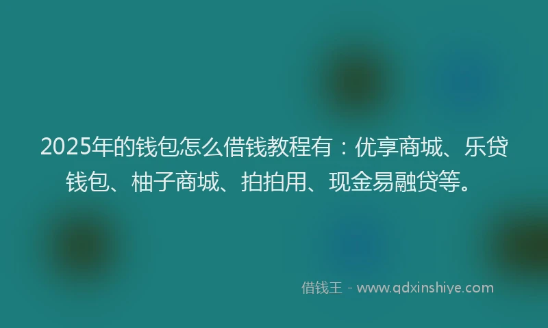 2025年的钱包怎么借钱教程有：优享商城、乐贷钱包、柚子商城、拍拍用、现金易融贷等。
