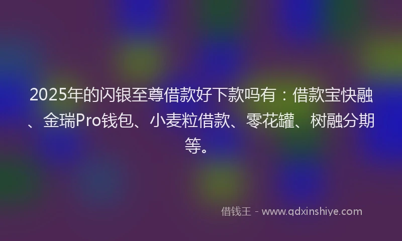 2025年的闪银至尊借款好下款吗有：借款宝快融、金瑞Pro钱包、小麦粒借款、零花罐、树融分期等。