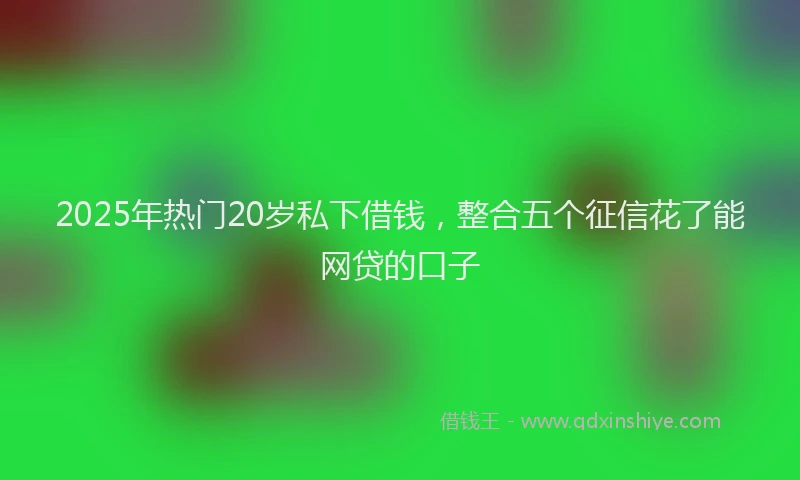 2025年热门20岁私下借钱，整合五个征信花了能网贷的口子