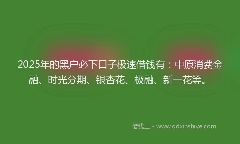 2025年的黑户必下口子极速借钱有：中原消费金融、时光分期、银杏花、极融、新一花等。