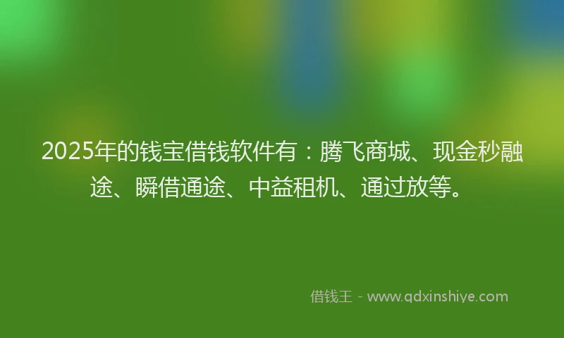 2025年的钱宝借钱软件有：腾飞商城、现金秒融途、瞬借通途、中益租机、通过放等。