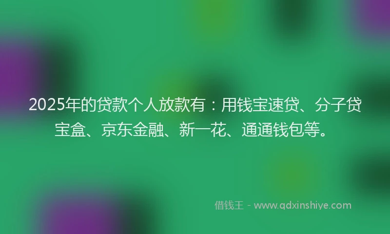 2025年的贷款个人放款有：用钱宝速贷、分子贷宝盒、京东金融、新一花、通通钱包等。