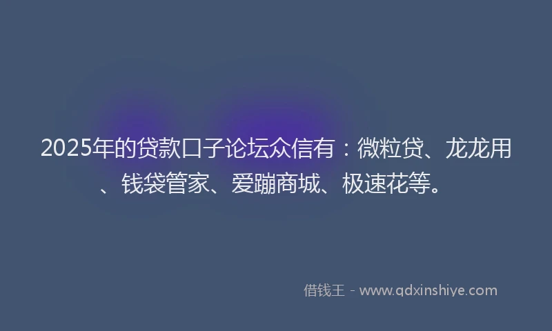 2025年的贷款口子论坛众信有：微粒贷、龙龙用、钱袋管家、爱蹦商城、极速花等。