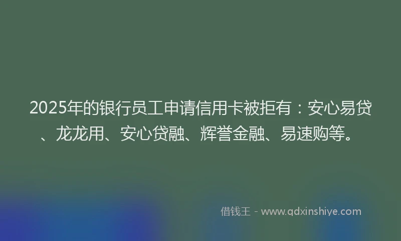 2025年的银行员工申请信用卡被拒有：安心易贷、龙龙用、安心贷融、辉誉金融、易速购等。