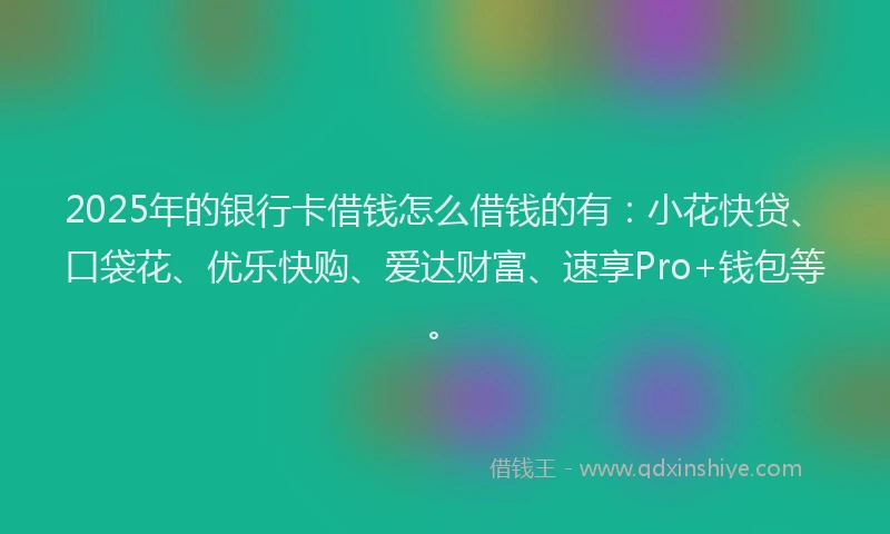 2025年的银行卡借钱怎么借钱的有：小花快贷、口袋花、优乐快购、爱达财富、速享Pro+钱包等。