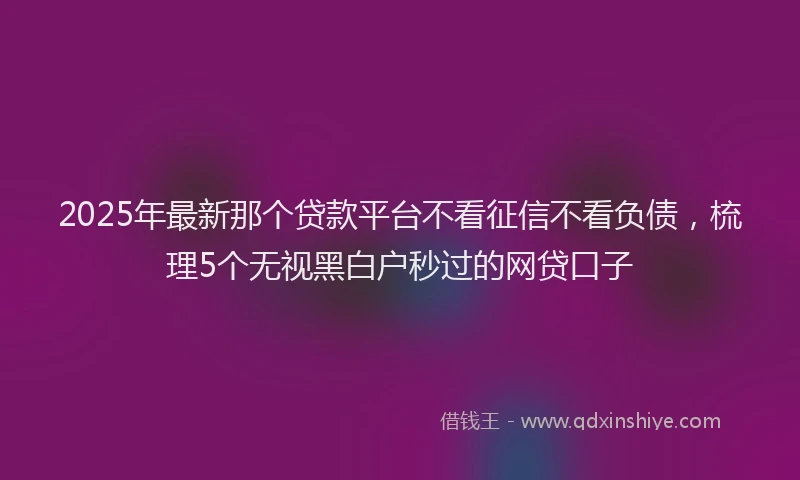 2025年最新那个贷款平台不看征信不看负债，梳理5个无视黑白户秒过的网贷口子