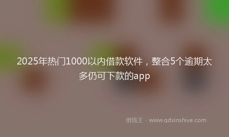 2025年热门1000以内借款软件，整合5个逾期太多仍可下款的app