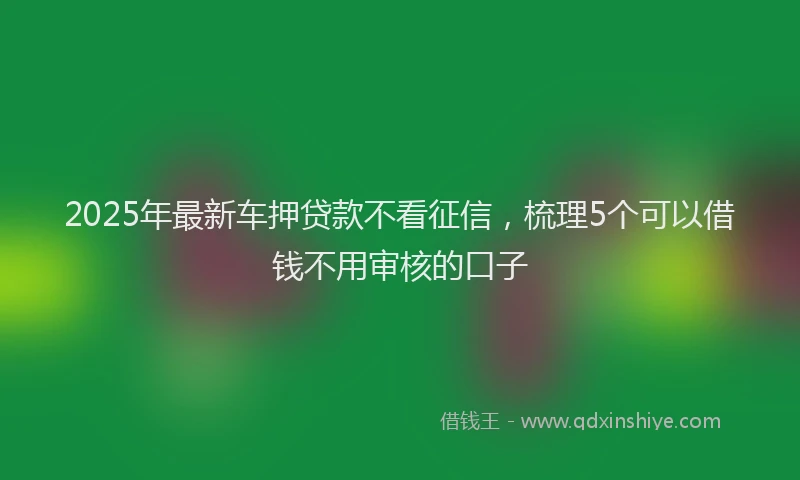 2025年最新车押贷款不看征信，梳理5个可以借钱不用审核的口子