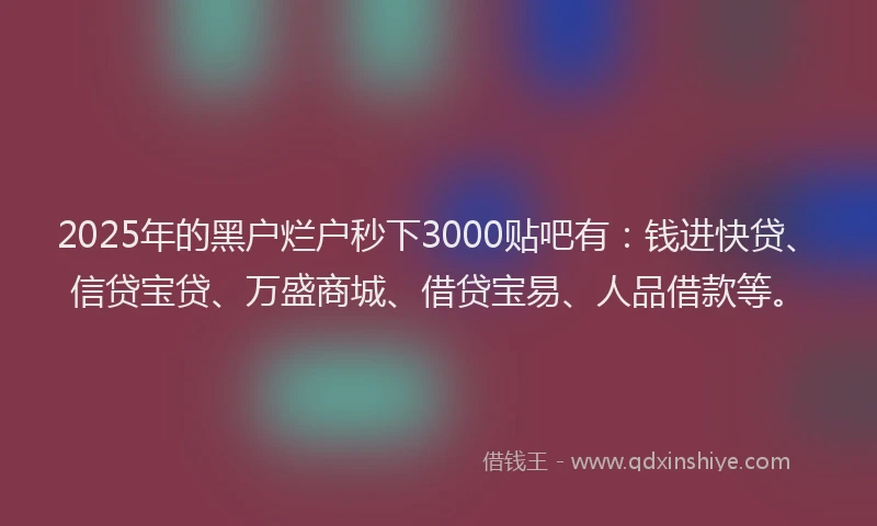2025年的黑户烂户秒下3000贴吧有：钱进快贷、信贷宝贷、万盛商城、借贷宝易、人品借款等。