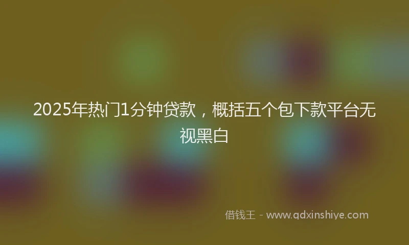 2025年热门1分钟贷款，概括五个包下款平台无视黑白