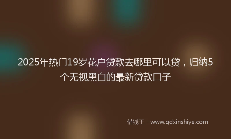 2025年热门19岁花户贷款去哪里可以贷，归纳5个无视黑白的最新贷款口子