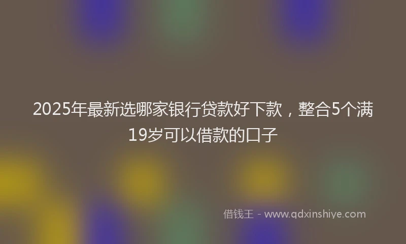 2025年最新选哪家银行贷款好下款，整合5个满19岁可以借款的口子