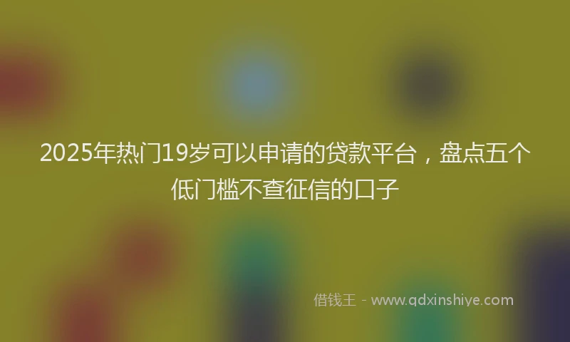 2025年热门19岁可以申请的贷款平台，盘点五个低门槛不查征信的口子