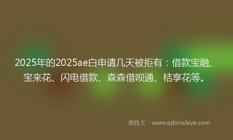 2025年的2025ae白申请几天被拒有：借款宝融、宝来花、闪电借款、森森借呗通、桔享花等。