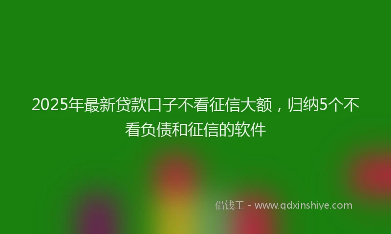 2025年最新贷款口子不看征信大额，归纳5个不看负债和征信的软件