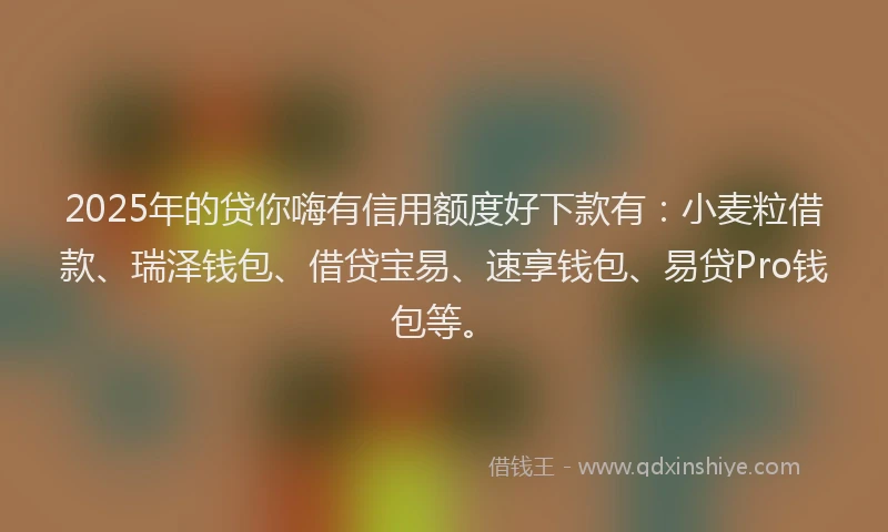 2025年的贷你嗨有信用额度好下款有：小麦粒借款、瑞泽钱包、借贷宝易、速享钱包、易贷Pro钱包等。