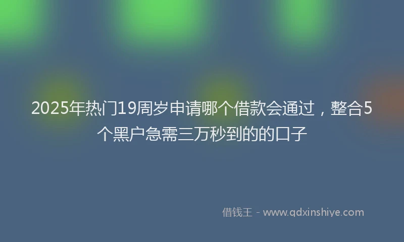2025年热门19周岁申请哪个借款会通过，整合5个黑户急需三万秒到的的口子