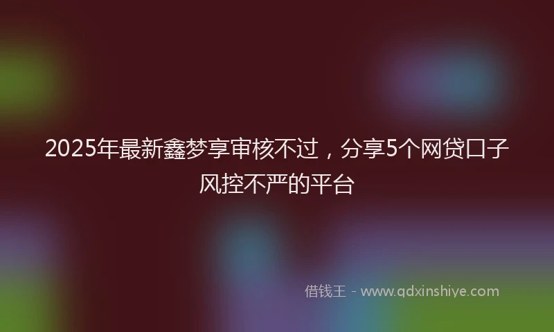 2025年最新鑫梦享审核不过，分享5个网贷口子风控不严的平台