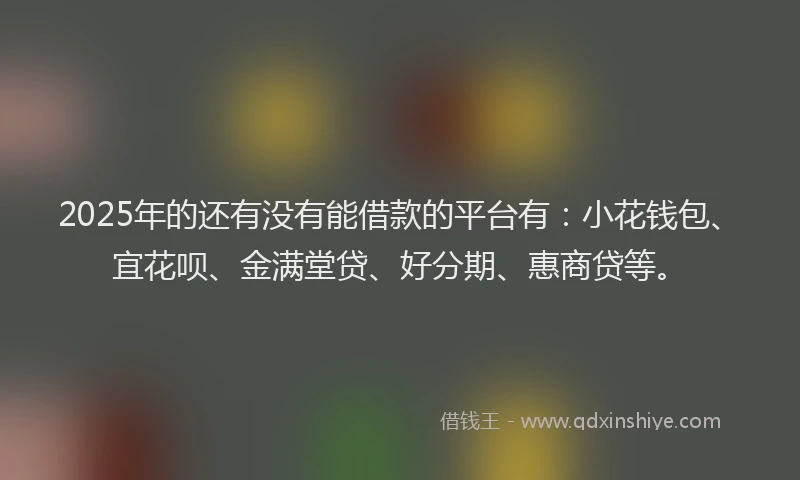 2025年的还有没有能借款的平台有：小花钱包、宜花呗、金满堂贷、好分期、惠商贷等。
