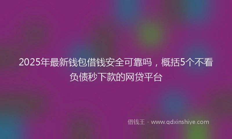 2025年最新钱包借钱安全可靠吗，概括5个不看负债秒下款的网贷平台
